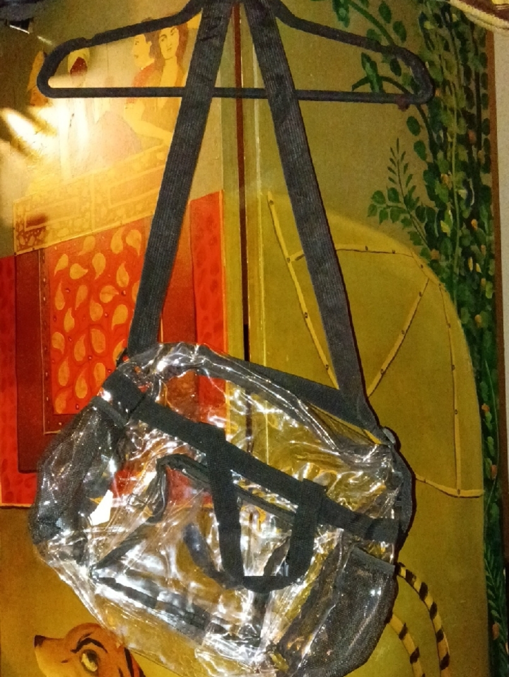 Clear Plastic  Bag with Black Trim
